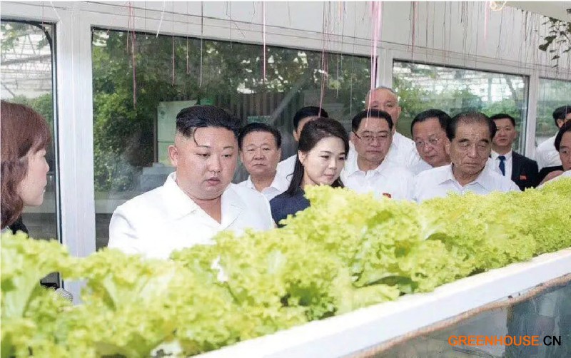 4.朝鮮最高領(lǐng)導(dǎo)人、朝鮮勞動(dòng)黨總書(shū)記金正恩到訪創(chuàng)新園