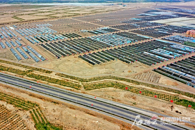 莎車縣戈壁產(chǎn)業(yè)園里，3000座溫室大棚成為荒灘上最具活力的地方。天山網(wǎng)-新疆日報記者 蔡增樂 攝
